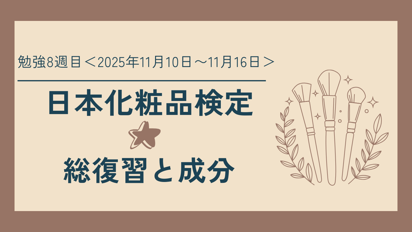 【日本化粧品検定】勉強8週目｜総復習と成分の優先順位づけ